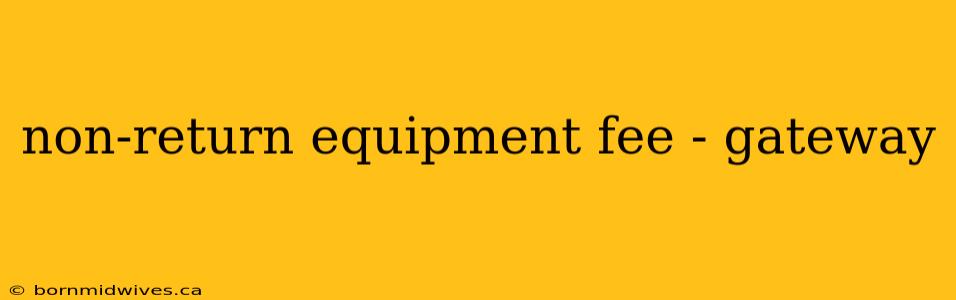 non-return equipment fee - gateway